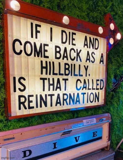 What n' reintarnation? | image tagged in hillbilly,memes,funny,reincarnation,lmao | made w/ Imgflip meme maker