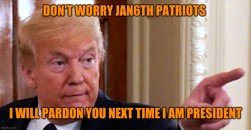 Trump pointing | DON'T WORRY JAN6TH PATRIOTS; I WILL PARDON YOU NEXT TIME I AM PRESIDENT | image tagged in trump pointing | made w/ Imgflip meme maker