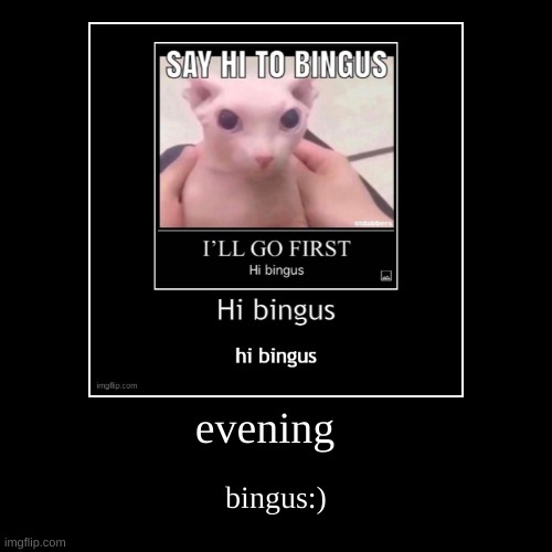 ello bingus | image tagged in funny,demotivationals | made w/ Imgflip demotivational maker