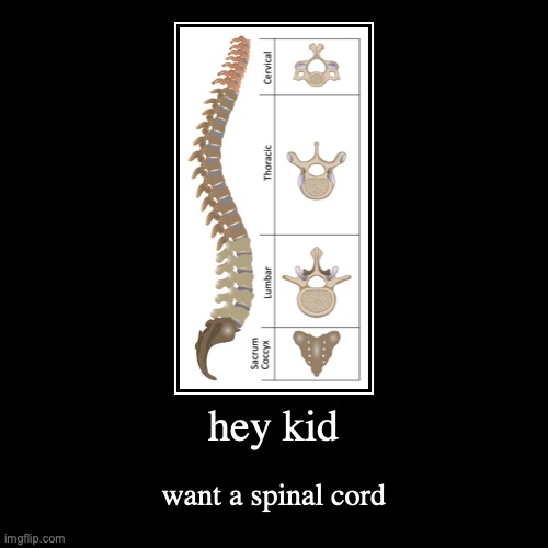 image tagged in funny,demotivationals | made w/ Imgflip demotivational maker