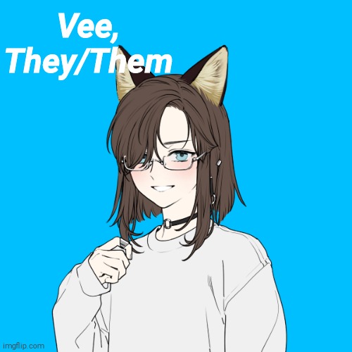 Vee, They/Them | made w/ Imgflip meme maker