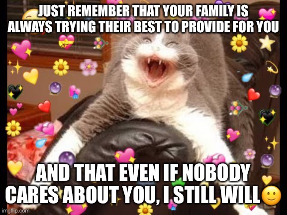 Please consider upvoting, you don’t have to though, it’s your choice? | JUST REMEMBER THAT YOUR FAMILY IS ALWAYS TRYING THEIR BEST TO PROVIDE FOR YOU; AND THAT EVEN IF NOBODY CARES ABOUT YOU, I STILL WILL🙂 | image tagged in wholesome cat | made w/ Imgflip meme maker