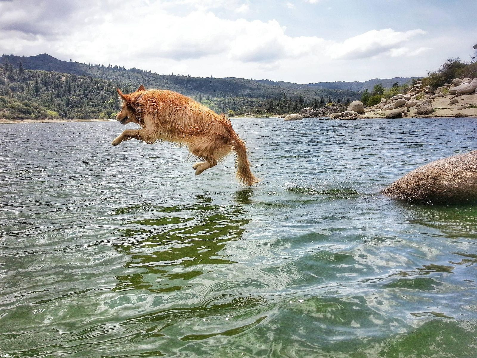 image tagged in awesome | made w/ Imgflip meme maker