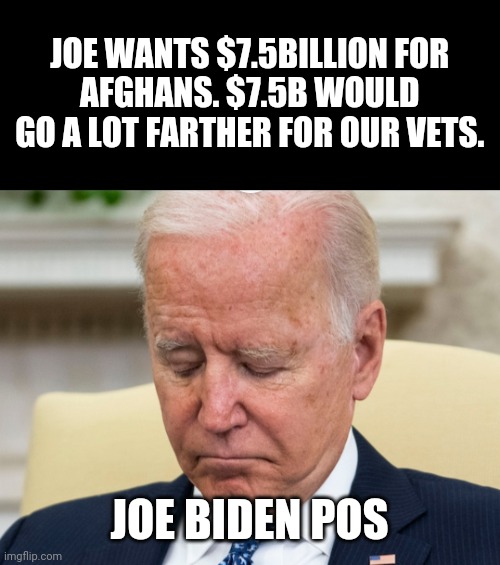 Stupid liberals | JOE WANTS $7.5BILLION FOR 

AFGHANS. $7.5B WOULD 
GO A LOT FARTHER FOR OUR VETS. JOE BIDEN POS | image tagged in pos | made w/ Imgflip meme maker