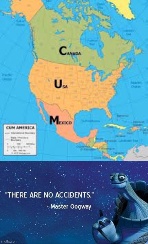 NO ACCIDENTS!!! | image tagged in oogway,memes,sus,fun,funny | made w/ Imgflip meme maker