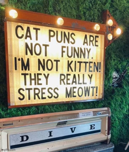 The Purrfect Meme. | image tagged in sign,cats,memes,funny,lmao,puns | made w/ Imgflip meme maker