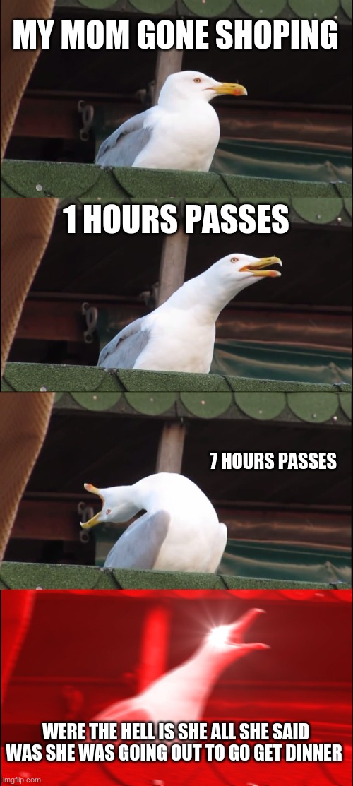 Inhaling Seagull Meme | MY MOM GONE SHOPING 1 HOURS PASSES 7 HOURS PASSES WERE THE HELL IS SHE ALL SHE SAID WAS SHE WAS GOING OUT TO GO GET DINNER | image tagged in memes,inhaling seagull | made w/ Imgflip meme maker