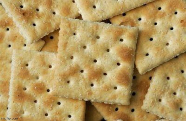 Crackers | image tagged in crackers | made w/ Imgflip meme maker