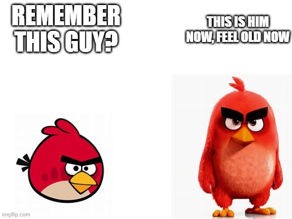 Red then and now | REMEMBER THIS GUY? THIS IS HIM NOW, FEEL OLD NOW | image tagged in blank white template | made w/ Imgflip meme maker