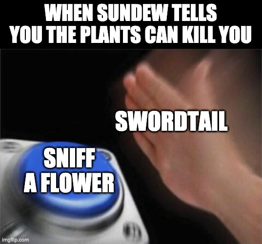 swordtail does what you tell him not to do | WHEN SUNDEW TELLS YOU THE PLANTS CAN KILL YOU; SWORDTAIL; SNIFF A FLOWER | image tagged in memes,blank nut button,wof,the poison jungle,wings of fire,swordtail | made w/ Imgflip meme maker