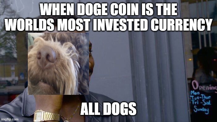 Roll Safe Think About It | WHEN DOGE COIN IS THE WORLDS MOST INVESTED CURRENCY; ALL DOGS | image tagged in memes,roll safe think about it | made w/ Imgflip meme maker