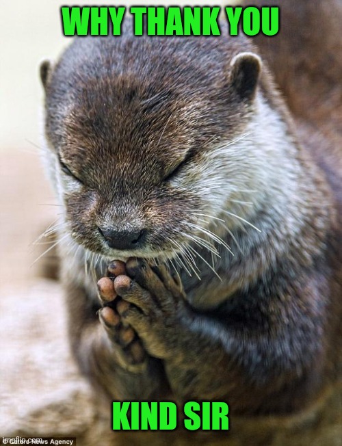 Thank you Lord Otter | WHY THANK YOU KIND SIR | image tagged in thank you lord otter | made w/ Imgflip meme maker