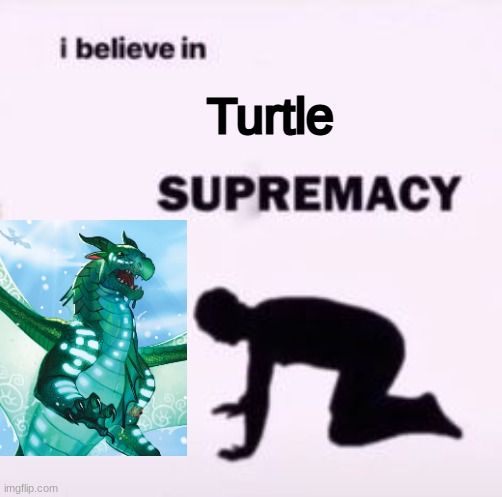 Best Jade Winglet character, don't @ me | Turtle | image tagged in i believe in supremacy,wings of fire,turtle,wof | made w/ Imgflip meme maker