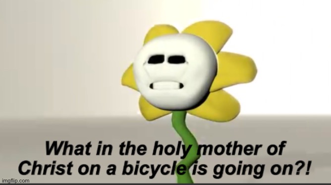 When E | image tagged in flowey | made w/ Imgflip meme maker