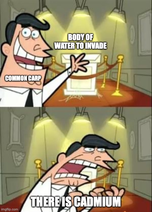 This Is Where I'd Put My Trophy If I Had One Meme | BODY OF WATER TO INVADE; COMMON CARP; THERE IS CADMIUM | image tagged in memes,this is where i'd put my trophy if i had one | made w/ Imgflip meme maker