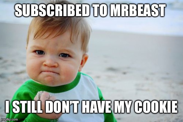 it's true though | SUBSCRIBED TO MRBEAST; I STILL DON’T HAVE MY COOKIE | image tagged in memes,success kid original | made w/ Imgflip meme maker