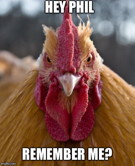 Angry Chicken | HEY PHIL REMEMBER ME? | image tagged in angry chicken | made w/ Imgflip meme maker