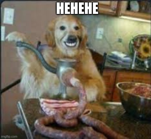MEAT DOG | HEHEHE | image tagged in meat dog | made w/ Imgflip meme maker