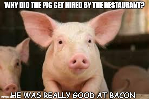 Daily Bad Dad Joke September 9 2021 | WHY DID THE PIG GET HIRED BY THE RESTAURANT? HE WAS REALLY GOOD AT BACON | image tagged in pig | made w/ Imgflip meme maker