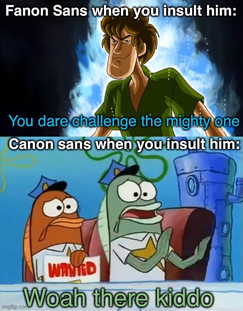 title lol | Fanon Sans when you insult him:; You dare challenge the mighty one; Canon sans when you insult him:; Woah there kiddo | image tagged in ultra instinct shaggy,calm down son,undertale | made w/ Imgflip meme maker