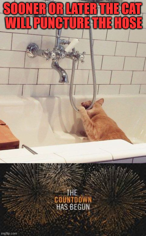 SOONER OR LATER THE CAT 
WILL PUNCTURE THE HOSE | image tagged in countdown,cats | made w/ Imgflip meme maker