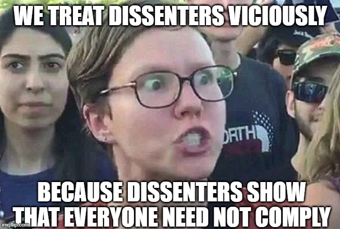 Triggered Liberal | WE TREAT DISSENTERS VICIOUSLY; BECAUSE DISSENTERS SHOW THAT EVERYONE NEED NOT COMPLY | image tagged in triggered liberal | made w/ Imgflip meme maker