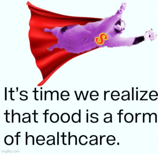 Food is Healthcare | S | image tagged in raycat | made w/ Imgflip meme maker