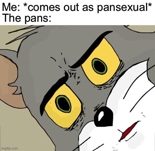 Saw this joke somewhere | Me: *comes out as pansexual*; The pans: | image tagged in memes,unsettled tom | made w/ Imgflip meme maker