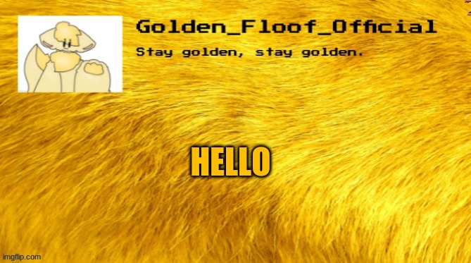 e |  HELLO | image tagged in golden floof announcement template | made w/ Imgflip meme maker