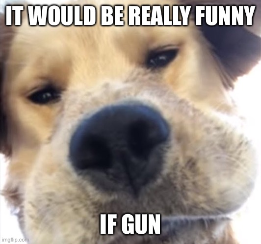 Doggo bruh | IT WOULD BE REALLY FUNNY; IF GUN | image tagged in doggo bruh | made w/ Imgflip meme maker