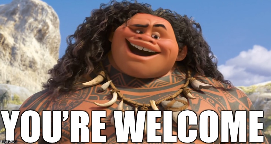 youre welcome | YOU’RE WELCOME | image tagged in youre welcome | made w/ Imgflip meme maker