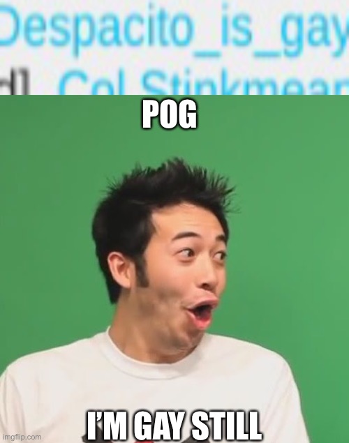 POG; I’M GAY STILL | image tagged in pogchamp | made w/ Imgflip meme maker