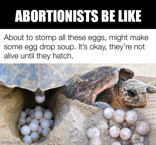 Babies are Babies | ABORTIONISTS BE LIKE | image tagged in logic,abortion,abortion is murder,save the earth,babies,happy baby turtle | made w/ Imgflip meme maker