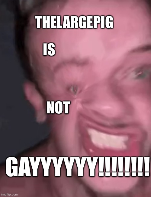 I AM LITERALLY CRYING EEEEEEEEEE | IS; THELARGEPIG; NOT; GAYYYYYY!!!!!!!! | image tagged in funny,thelargepig,no | made w/ Imgflip meme maker