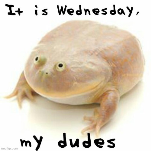 a meme for the ages | image tagged in it is wednesday my dudes | made w/ Imgflip meme maker