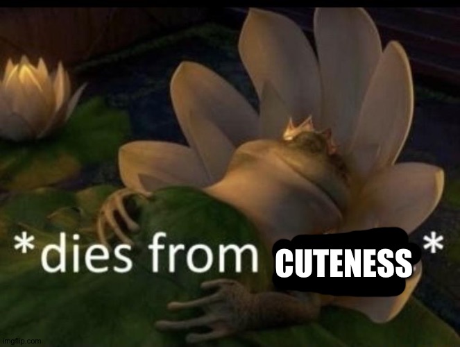 Dies from cringe | CUTENESS | image tagged in dies from cringe | made w/ Imgflip meme maker