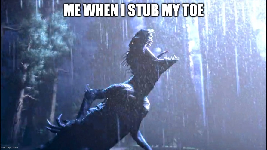 It hurts | ME WHEN I STUB MY TOE | image tagged in pain | made w/ Imgflip meme maker