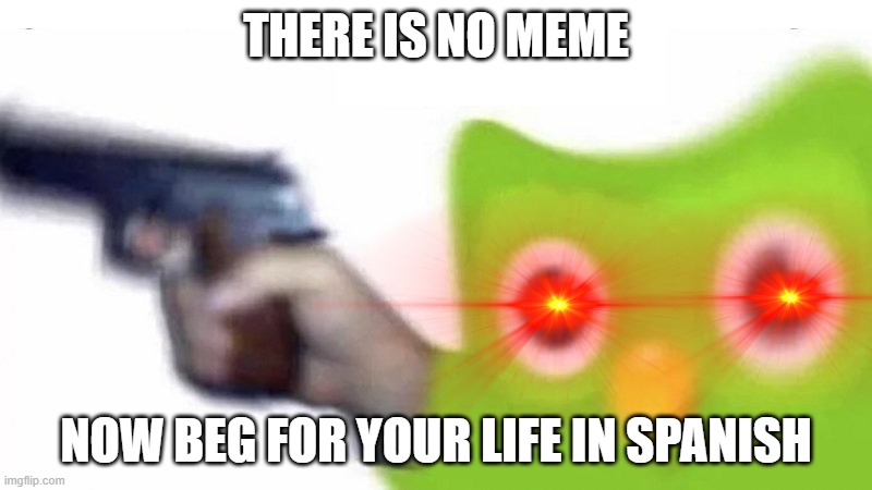 Duolingo be like | THERE IS NO MEME; NOW BEG FOR YOUR LIFE IN SPANISH | image tagged in duolingo bird,duo the owl,there is no meme | made w/ Imgflip meme maker