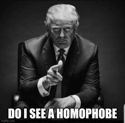 Trump | DO I SEE A HOMOPHOBE | image tagged in trump | made w/ Imgflip meme maker