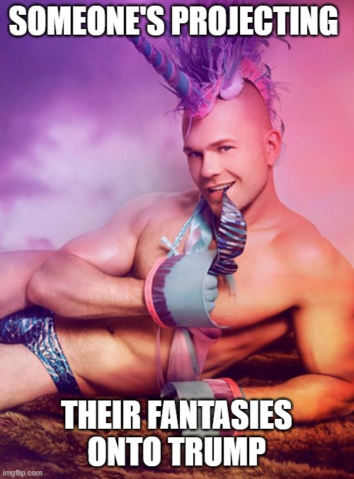 Sexy Gay Unicorn | SOMEONE'S PROJECTING THEIR FANTASIES ONTO TRUMP | image tagged in sexy gay unicorn | made w/ Imgflip meme maker