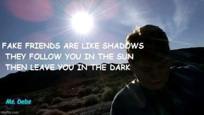 Ms. Debs | image tagged in fake people,sun,shadows,friendship,inspirational quote | made w/ Imgflip meme maker