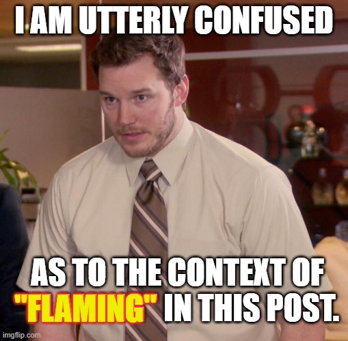 Afraid To Ask Andy Meme | I AM UTTERLY CONFUSED AS TO THE CONTEXT OF "FLAMING" IN THIS POST. "FLAMING" | image tagged in memes,afraid to ask andy | made w/ Imgflip meme maker