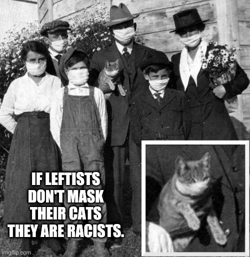 Yall are racist now. | IF LEFTISTS DON'T MASK THEIR CATS THEY ARE RACISTS. | image tagged in mask,cats | made w/ Imgflip meme maker