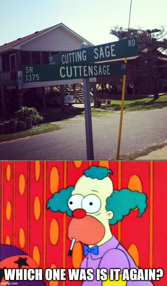 WHICH ONE WAS IS IT AGAIN? | image tagged in krusty the clown what the hell was that | made w/ Imgflip meme maker