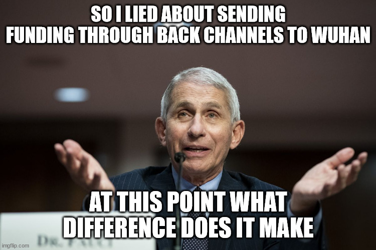 fauci | SO I LIED ABOUT SENDING FUNDING THROUGH BACK CHANNELS TO WUHAN; AT THIS POINT WHAT DIFFERENCE DOES IT MAKE | image tagged in dr fauci | made w/ Imgflip meme maker