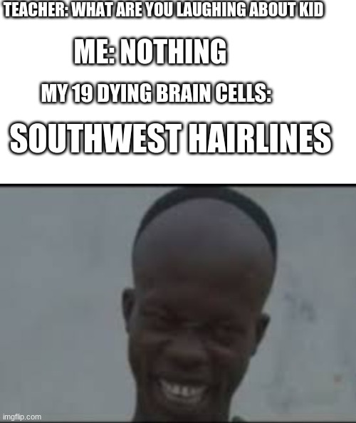 * | TEACHER: WHAT ARE YOU LAUGHING ABOUT KID; ME: NOTHING; MY 19 DYING BRAIN CELLS:; SOUTHWEST HAIRLINES | image tagged in blank white template | made w/ Imgflip meme maker