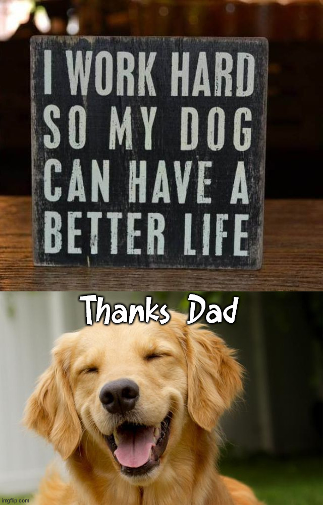 Thanks Dad | image tagged in happy dog,dogs | made w/ Imgflip meme maker
