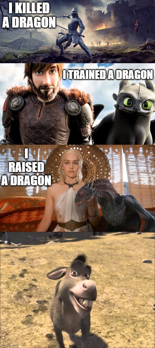 I KILLED A DRAGON; I TRAINED A DRAGON; I RAISED A DRAGON | image tagged in funny | made w/ Imgflip meme maker
