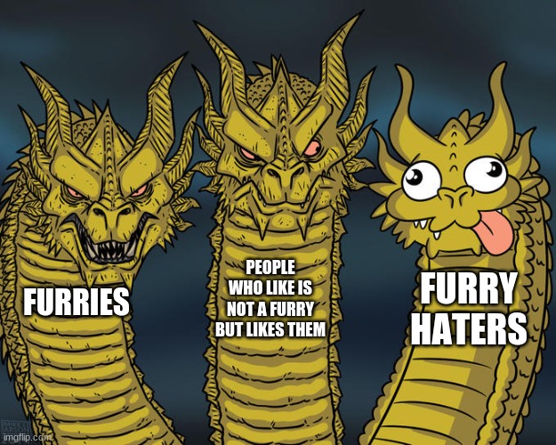 i am the one in the middle | PEOPLE WHO LIKE IS NOT A FURRY BUT LIKES THEM; FURRY HATERS; FURRIES | image tagged in three-headed dragon,furry,memes | made w/ Imgflip meme maker