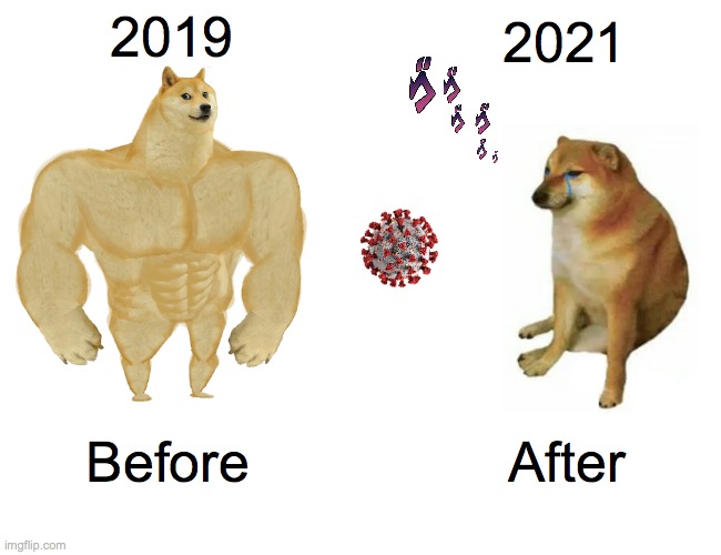 corona | 2019; 2021; Before; After | image tagged in memes,buff doge vs cheems | made w/ Imgflip meme maker